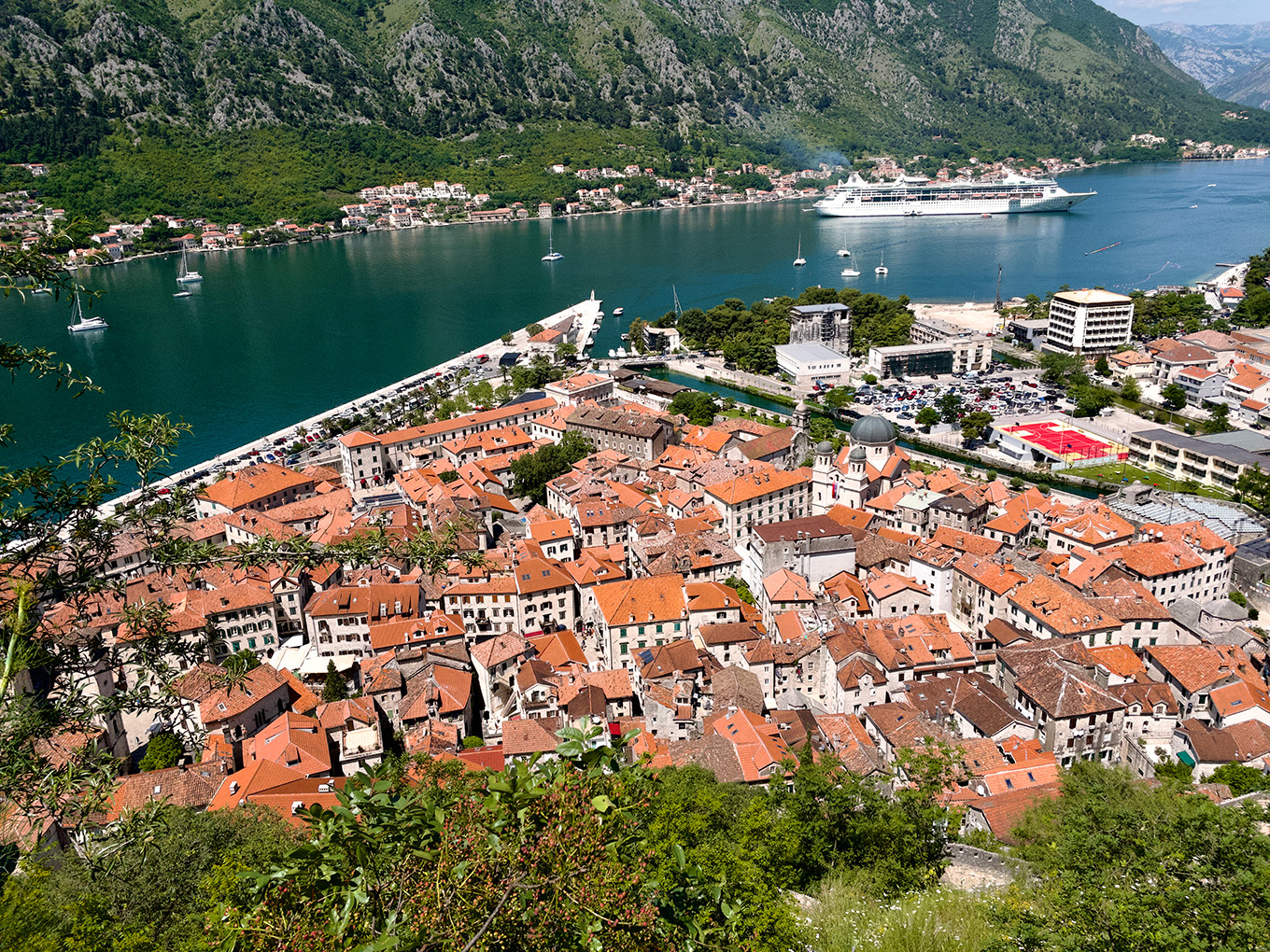 Kotor Fortress Hike: Best Routes, Tips & Stunning Views 5 Kotor from above
